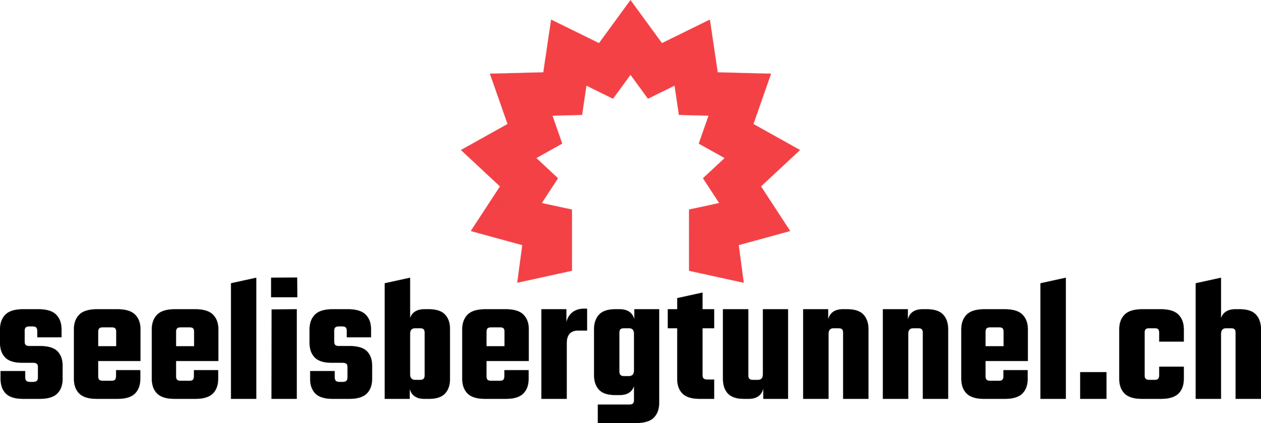Seelisbergtunnel.ch – Aktuell informiert. Sicher unterwegs.